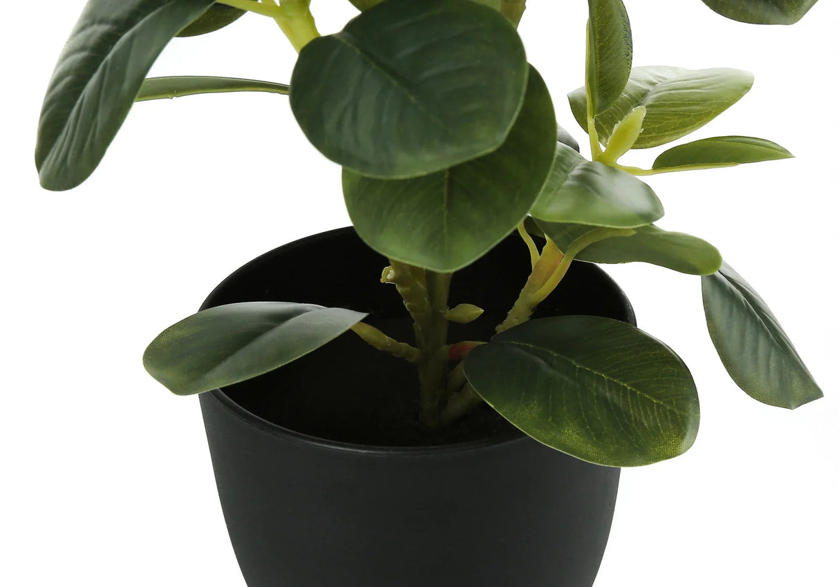 14" Tall, Artificial Plant, Ficus, Indoor, Faux, Fake, Table, Greenery, Potted, Decorative (Set of 2) - Green / Black - Furniture Home Direct