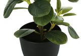 14" Tall, Artificial Plant, Ficus, Indoor, Faux, Fake, Table, Greenery, Potted, Decorative (Set of 2) - Green / Black - Furniture Home Direct